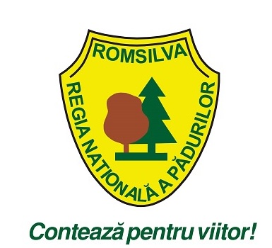 romsilva-logo.jpeg